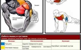 Как накачать мышцы в домашних условиях
