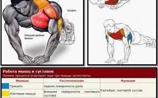 Как быстро накачать мышцы?