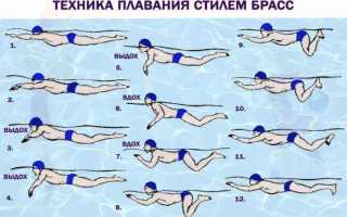 Одна из самых сложных техник плавания – баттерфляй