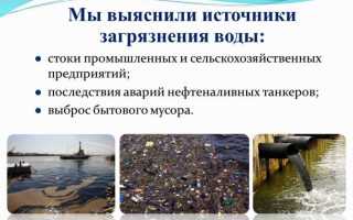 Какое на сегодняшний день экологическое состояние реки Волги?