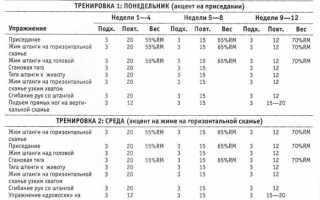 Программы тренировок по бодибилдингу
