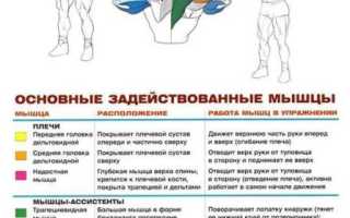 Все об армейском жиме: правильная техника, устранение ошибок