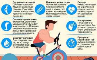 Что такое кардио тренировка: для чего они нужны и как их правильно делать