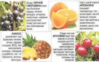 5 правил питания при респираторных заболеваниях со списком подходящих продуктов