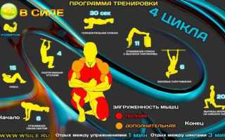 Кроссфит тренировки для начинающих: упражнения и примеры комплексов